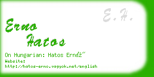 erno hatos business card